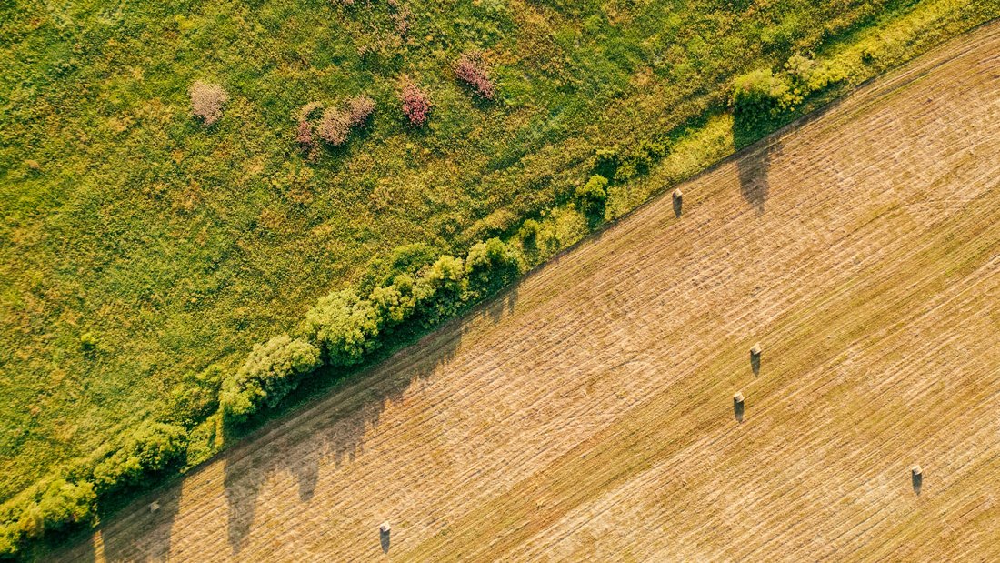 field from the sky